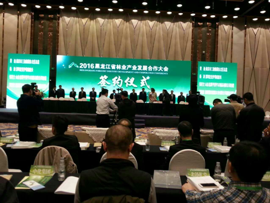 仟億達831999碳交易業(yè)界影響強，副總田衛(wèi)然接受黑龍江廣播電視臺采訪