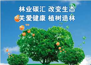 仟億達(dá)831999:開(kāi)展區(qū)域性碳交易合作的必要性