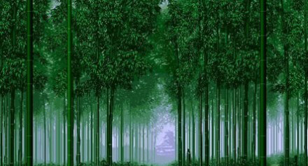 仟億達碳交易與您攜手打造綠色碳環(huán)保企業(yè) 碳資產(chǎn)管理