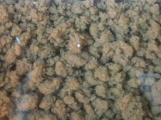 污泥、活性污泥粒狀顆粒