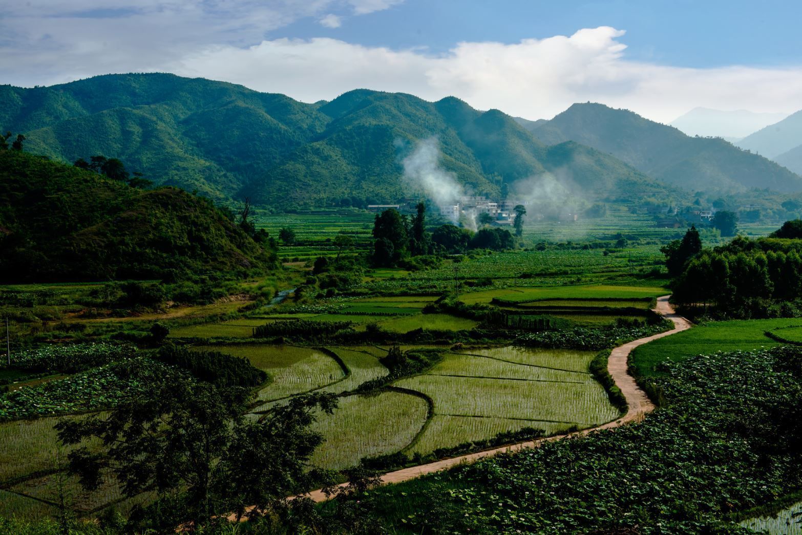 仟億達億碳與江西鎮(zhèn)石城縣達成林業(yè)碳匯項目合作 仟億達億碳與江西鎮(zhèn)石城縣達成林業(yè)碳匯項目合作